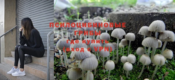 PSILOCYBIN Алексеевка