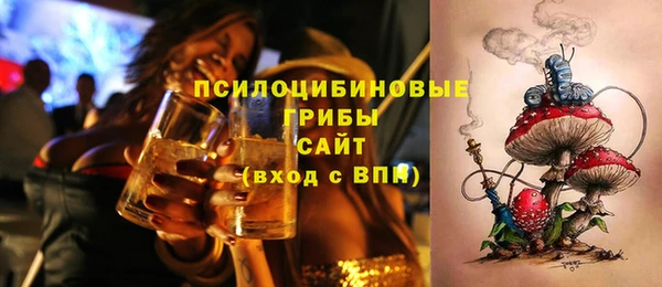 мдпв Абинск