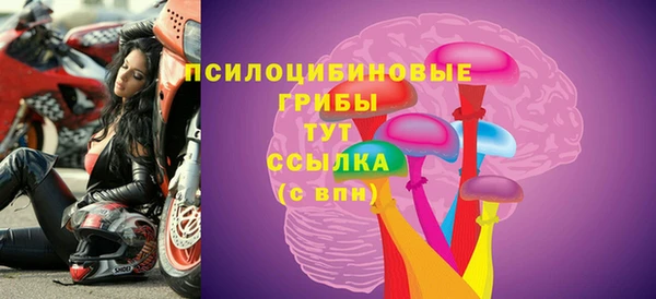 PSILOCYBIN Алексеевка