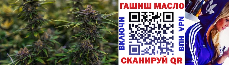 цены наркотик  Северская  ТГК THC oil 