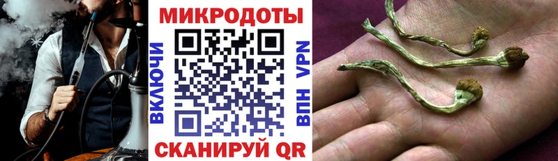 Галлюциногенные грибы мицелий  где можно купить наркотик  Северская 
